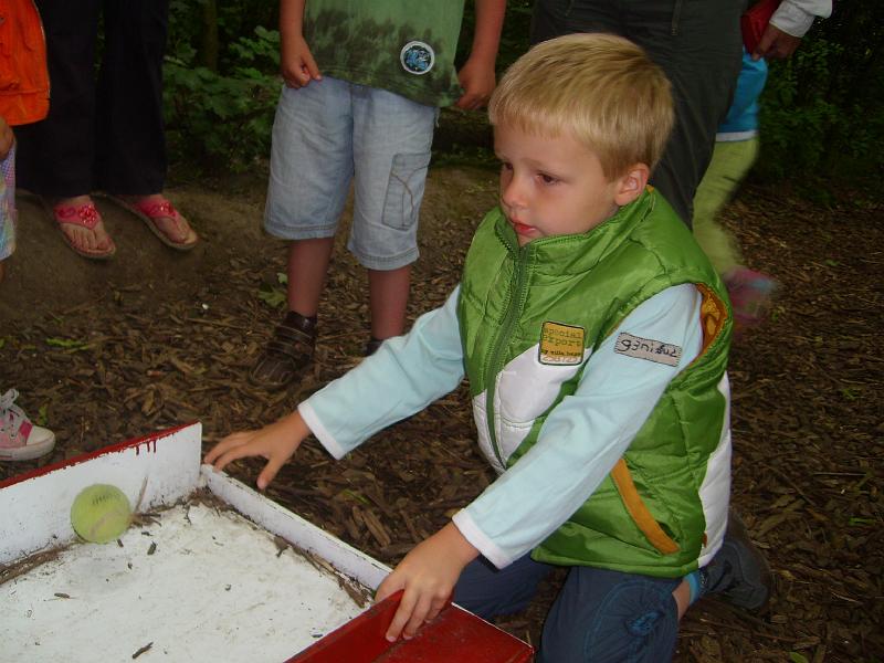 070612 skoalreiske beukers 039.jpg